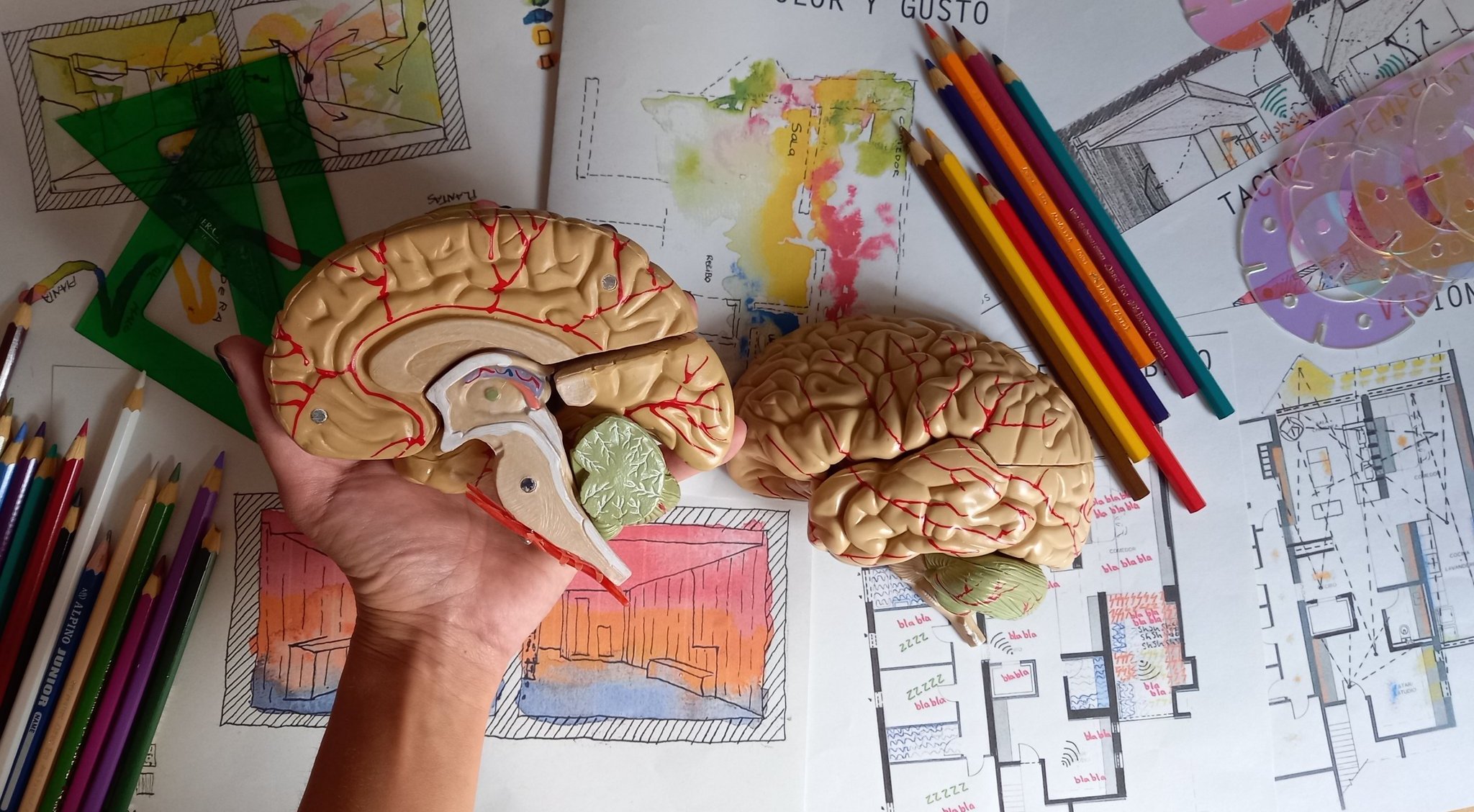 Neuroarquitectura aplicada al diseño de espacios de trabajo