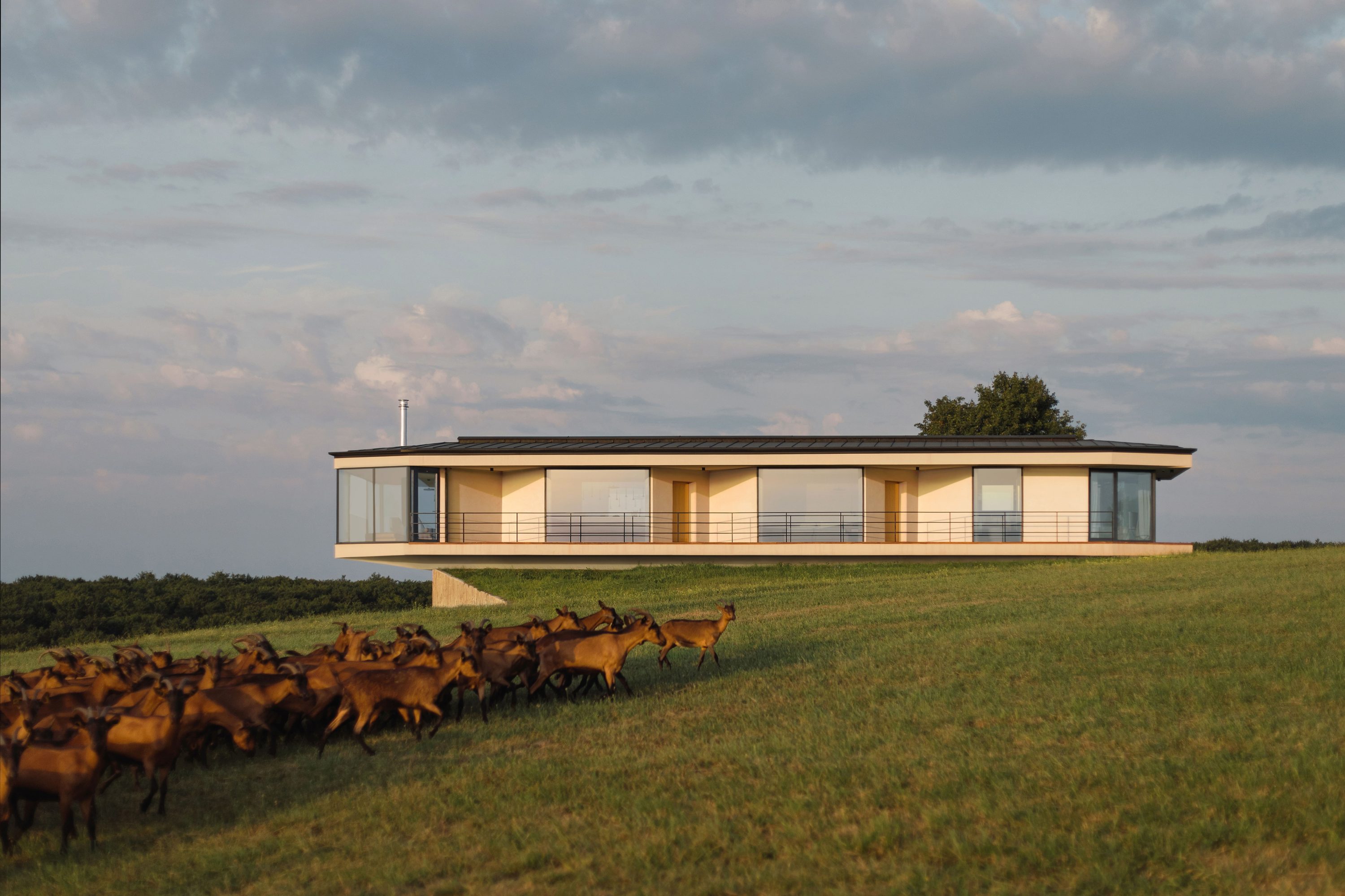 Estructuras Horizontales