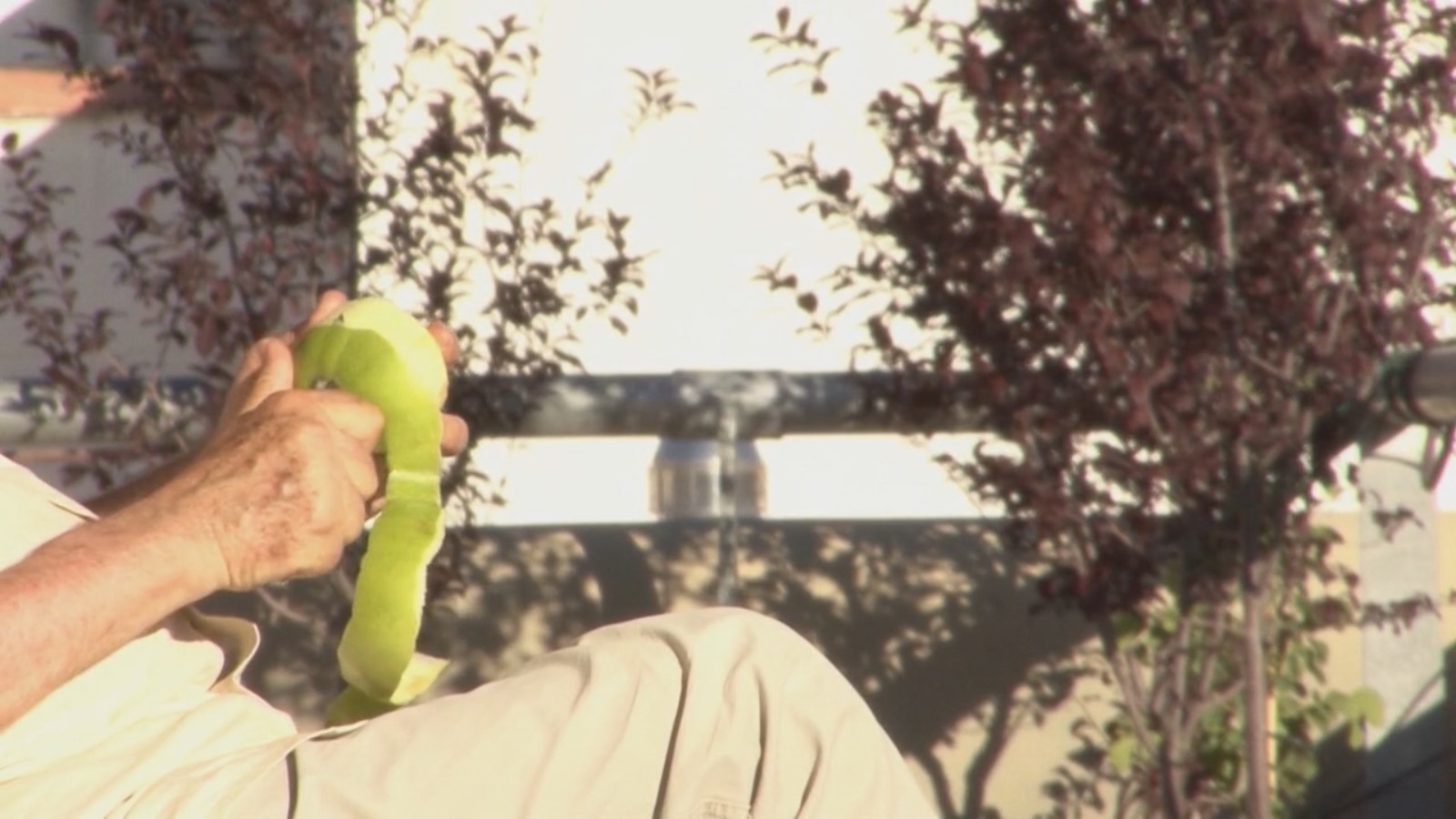 La manzana y el intruso