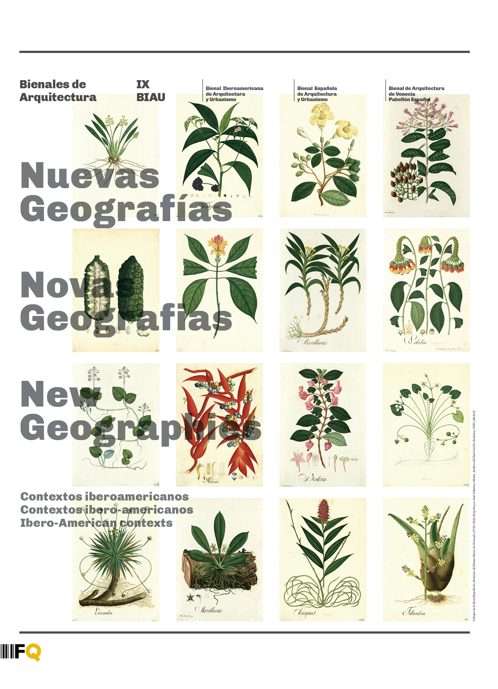 Nuevas Geografías