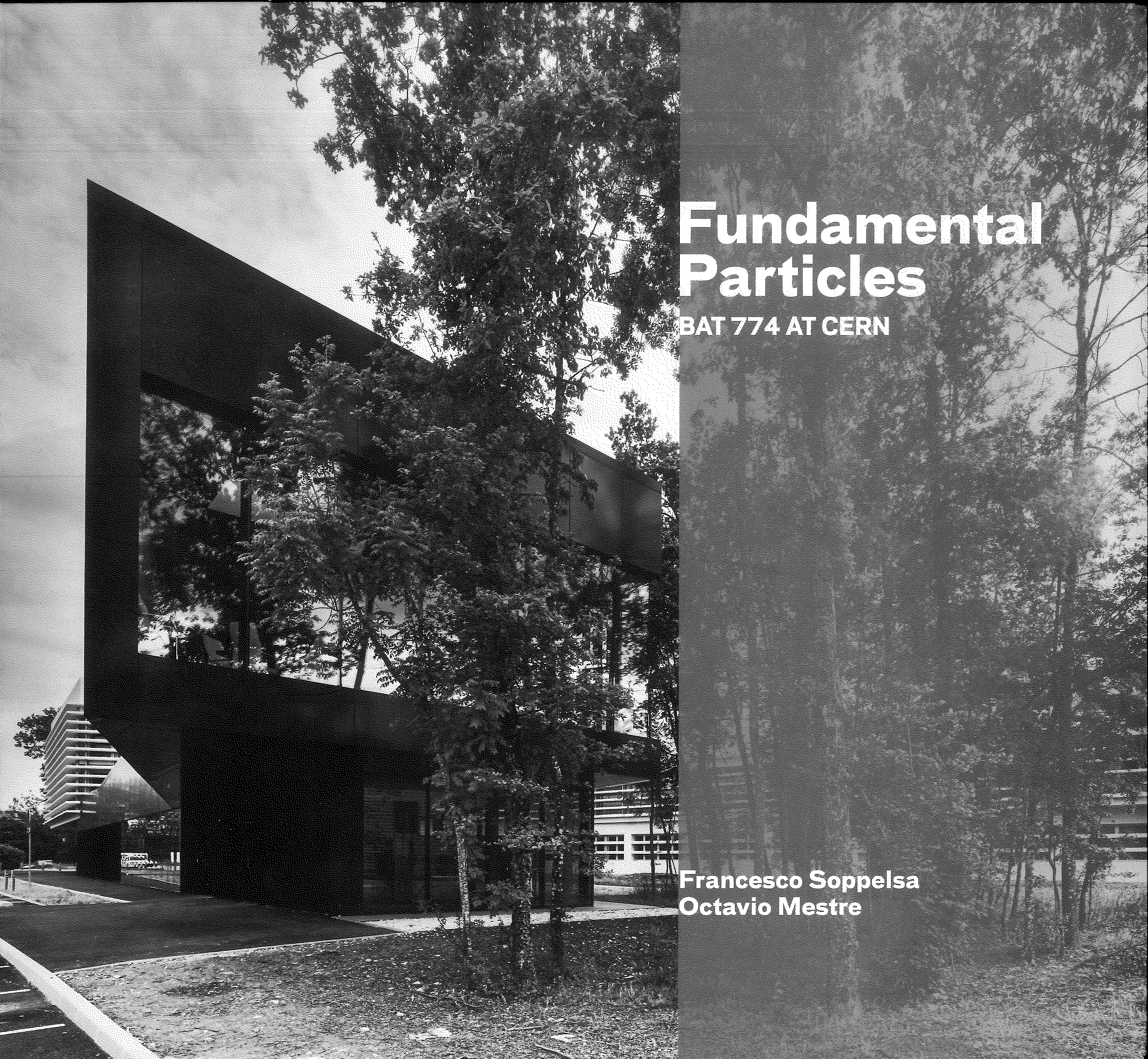 Fundamental particles