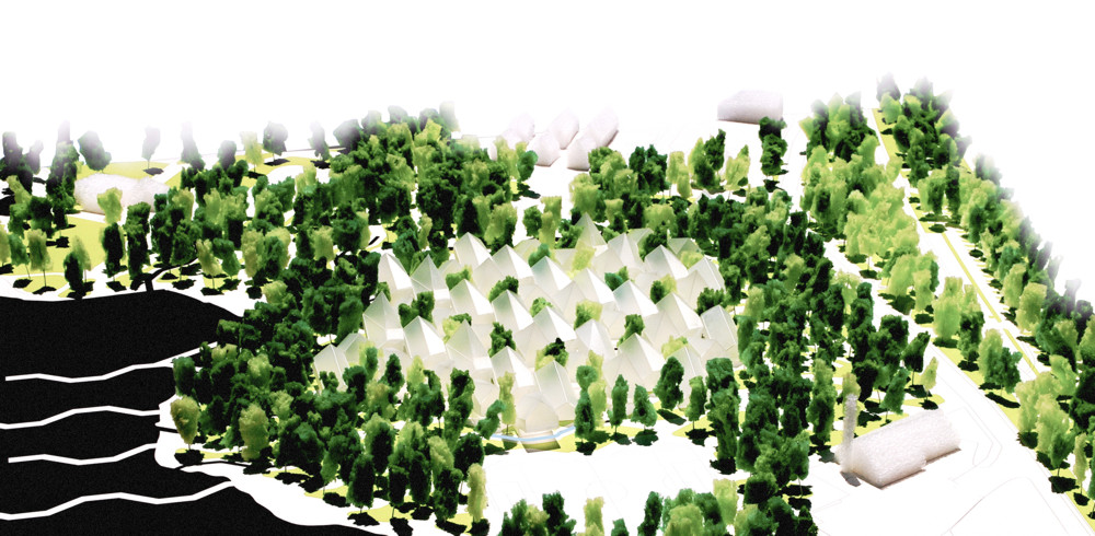 En un claro de bosque. Lerum. Europan 10