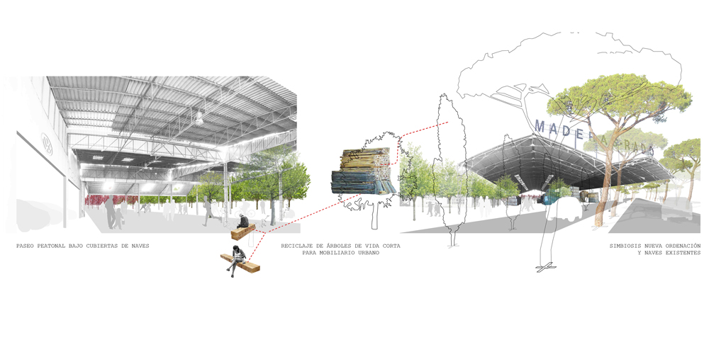 ARBOLóPOLIS, Europan XI, Alcorcón, España, 1er.Premio