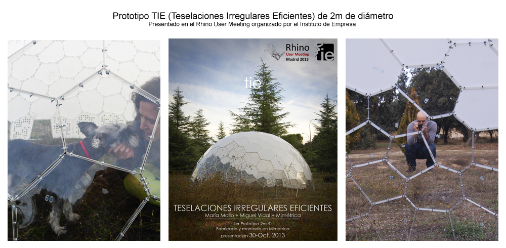 Teselaciones Irregulares Eficientes