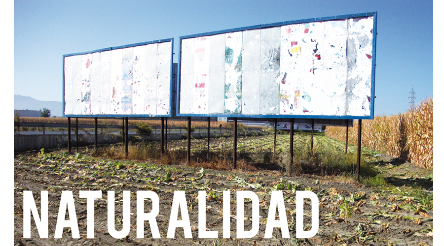 Naturalidad