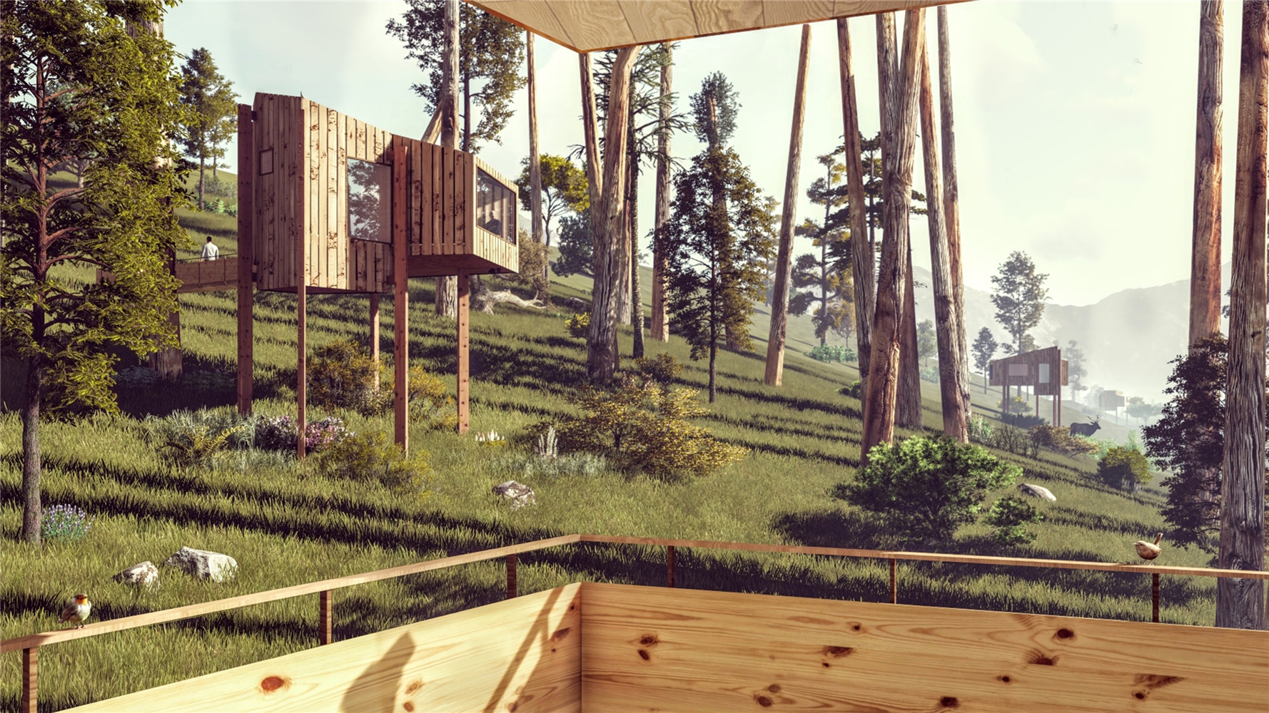 Proyecto de "Cabañas en los árboles"