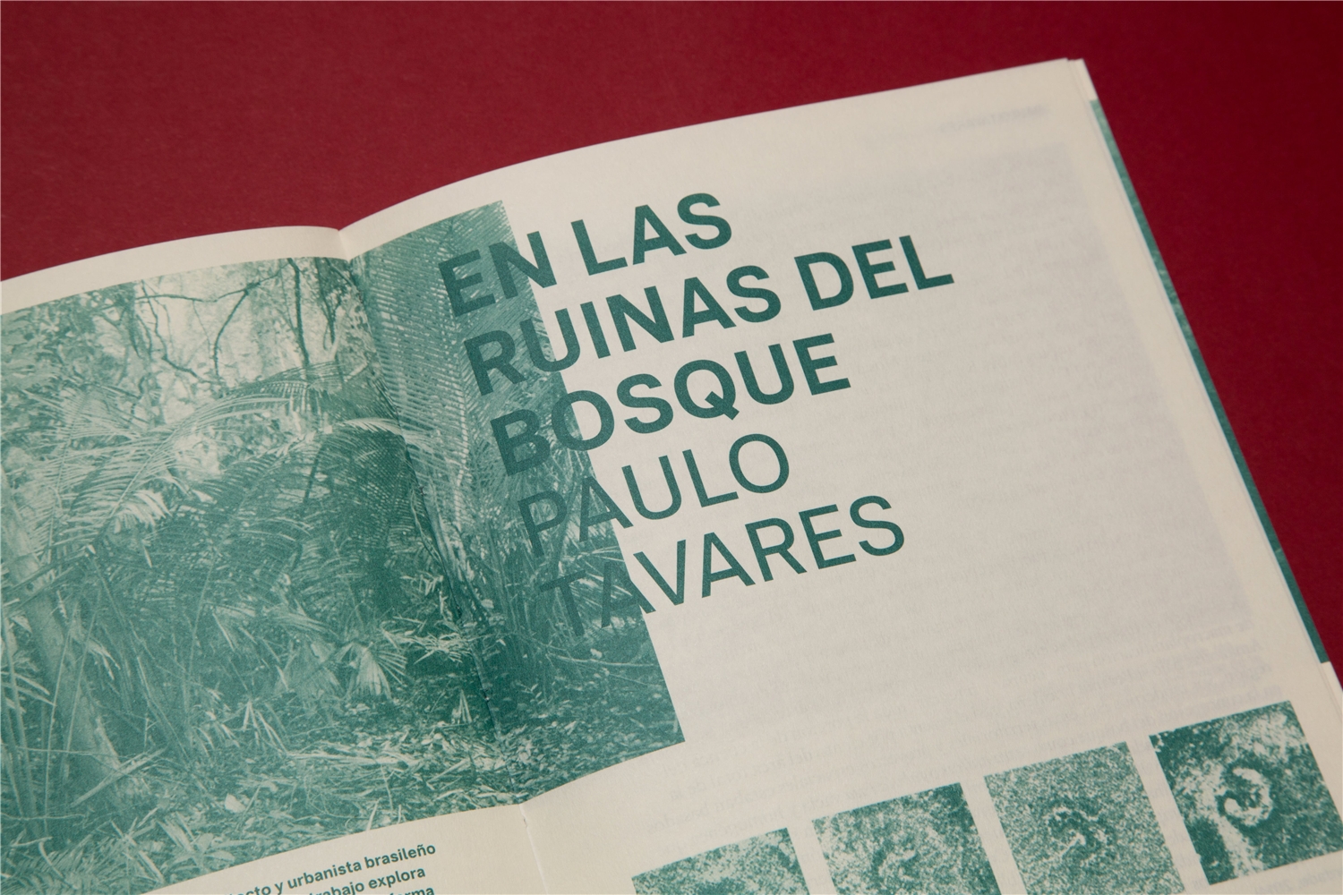 Más allá de lo humano