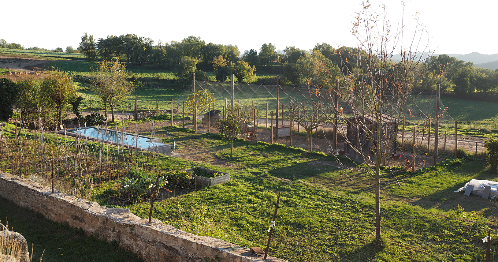 Mas Vilanova