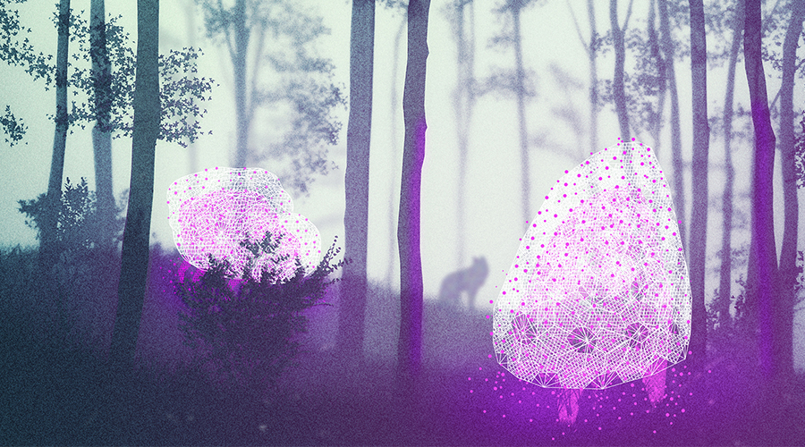 POST-NATURAL SELECTION