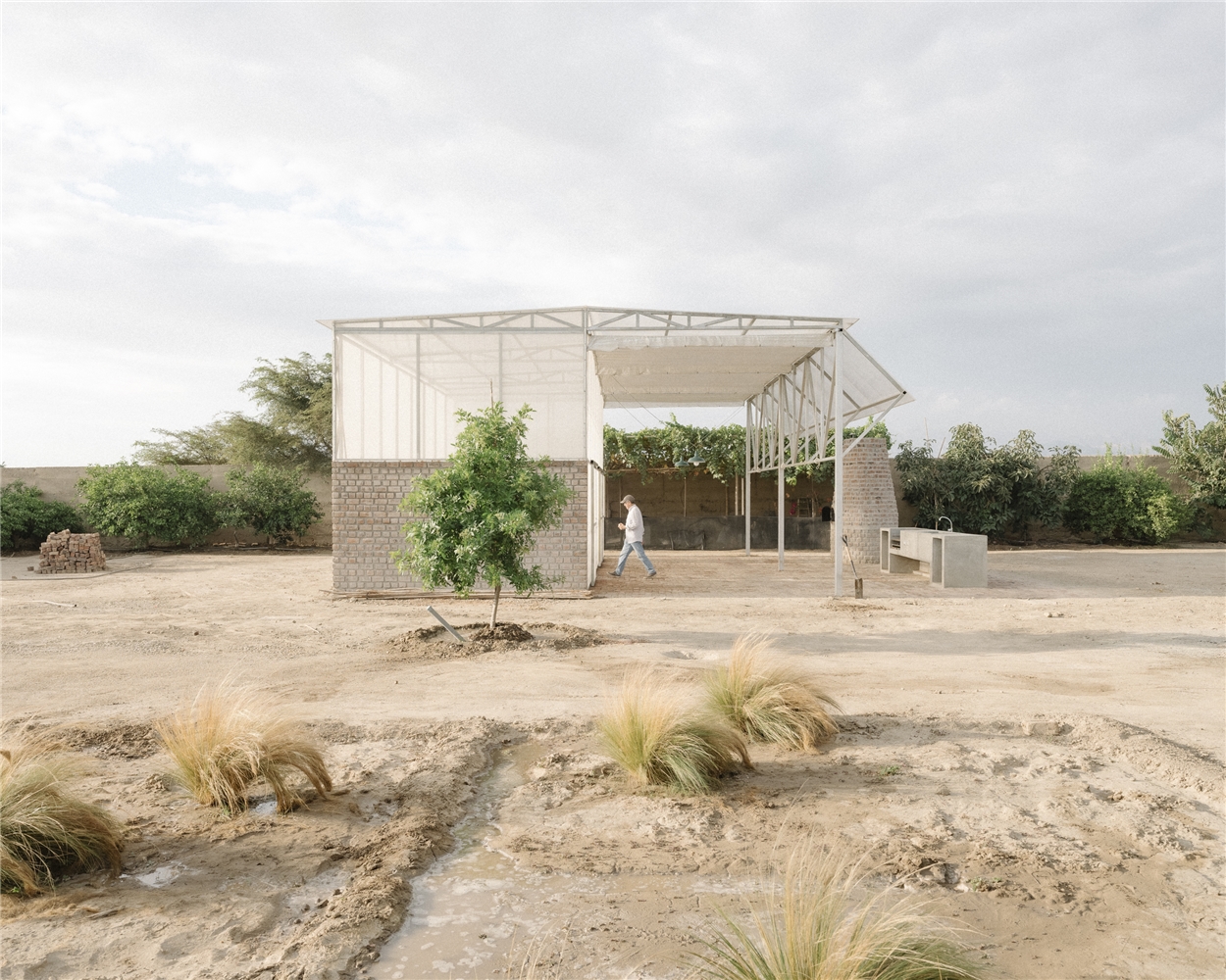 Invernadero para la coexistencia de plantas y humanos en El Carmen, Peru