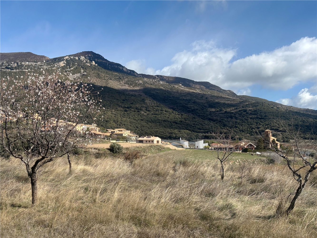 CASA DEL ARCO