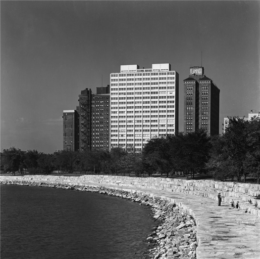 Permanencia y cambio en la obra de Mies van der Rohe